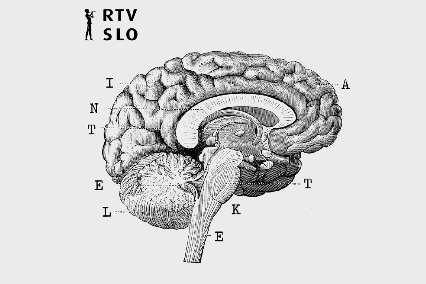 Intelekta - Zakaj vrhunske športnike postavljamo na piedestal in zakaj jih z njega klatimo?